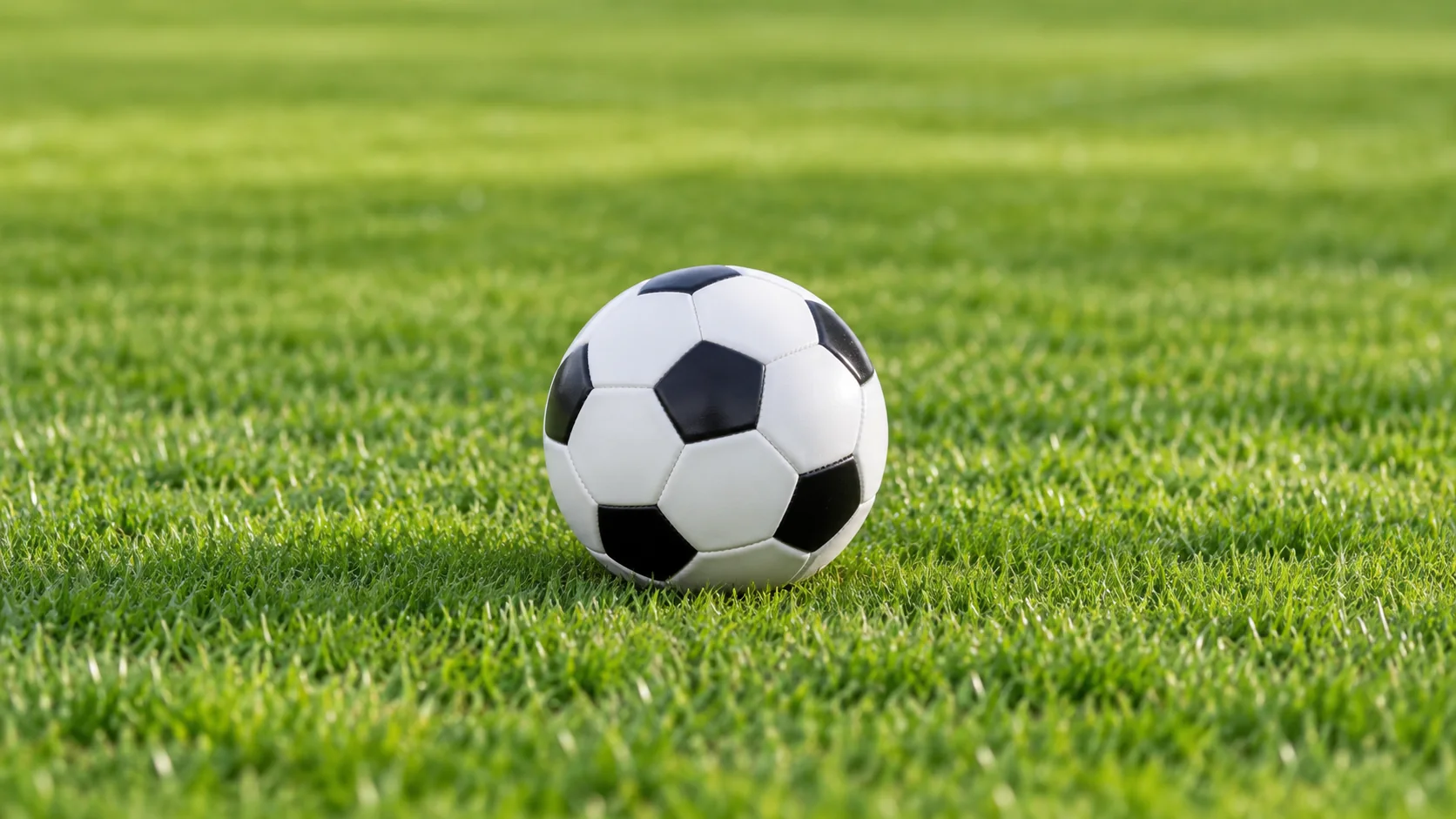 滑板战术实力榜单权威发布揭示各队实力对比与未来发展潜力